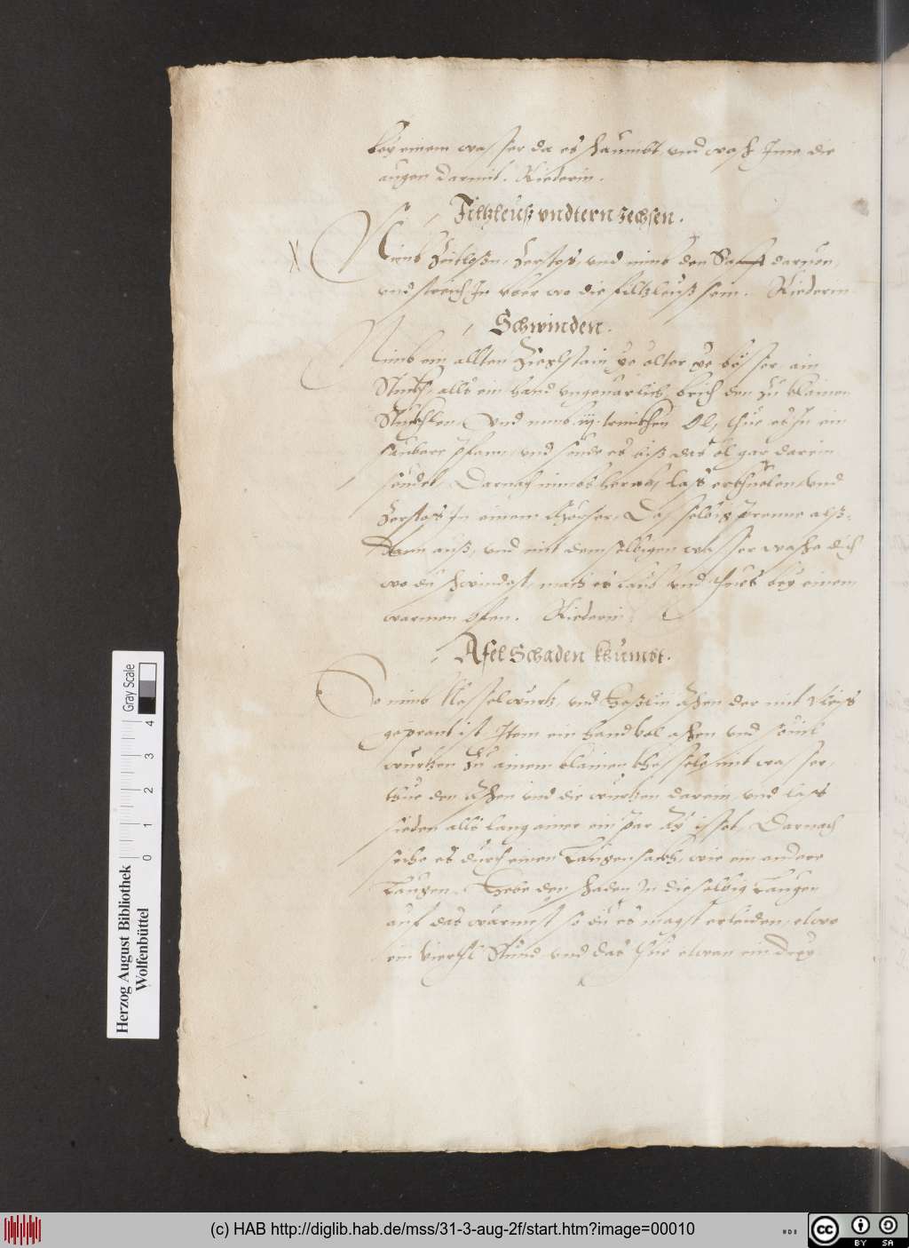 http://diglib.hab.de/mss/31-3-aug-2f/00010.jpg