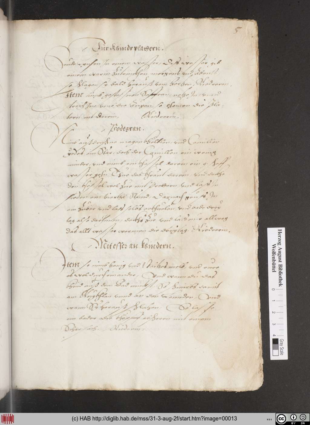 http://diglib.hab.de/mss/31-3-aug-2f/00013.jpg