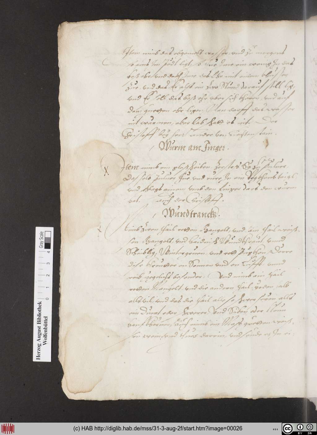 http://diglib.hab.de/mss/31-3-aug-2f/00026.jpg