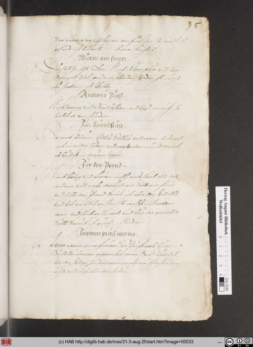 http://diglib.hab.de/mss/31-3-aug-2f/00033.jpg