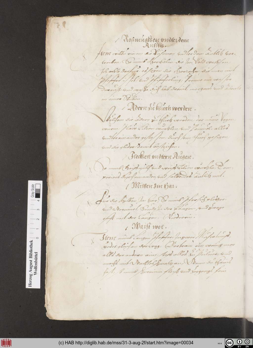 http://diglib.hab.de/mss/31-3-aug-2f/00034.jpg