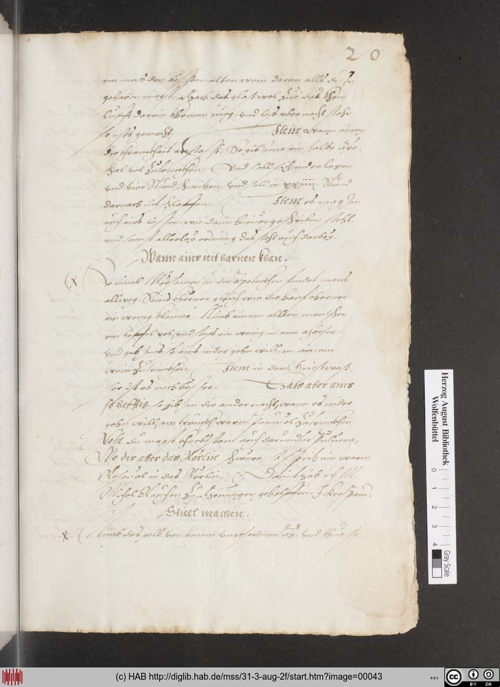 http://diglib.hab.de/mss/31-3-aug-2f/00043.jpg
