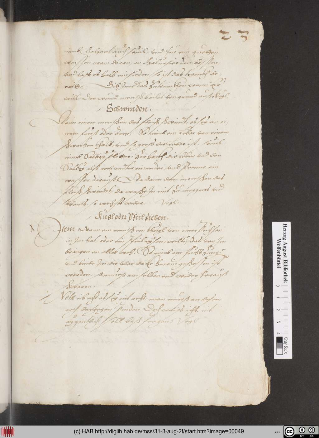 http://diglib.hab.de/mss/31-3-aug-2f/00049.jpg
