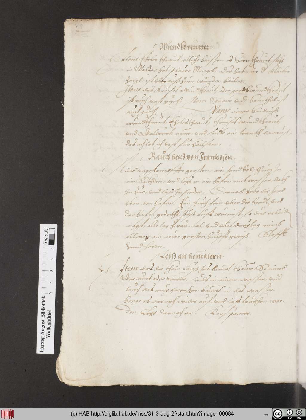 http://diglib.hab.de/mss/31-3-aug-2f/00084.jpg
