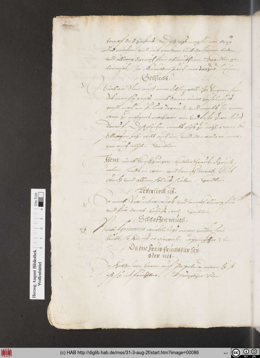 http://diglib.hab.de/mss/31-3-aug-2f/00086.jpg