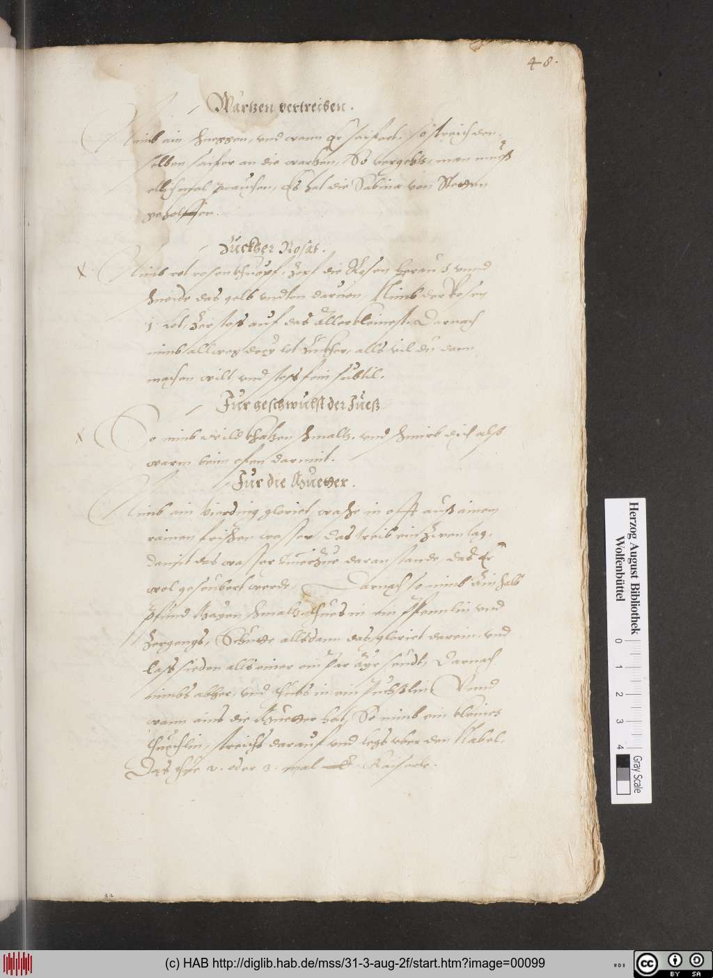 http://diglib.hab.de/mss/31-3-aug-2f/00099.jpg