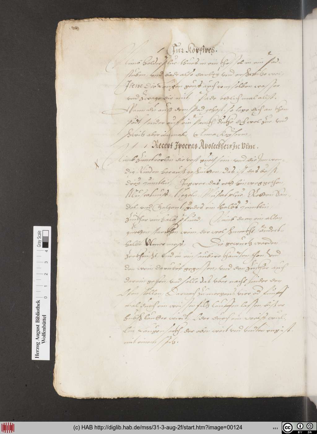 http://diglib.hab.de/mss/31-3-aug-2f/00124.jpg