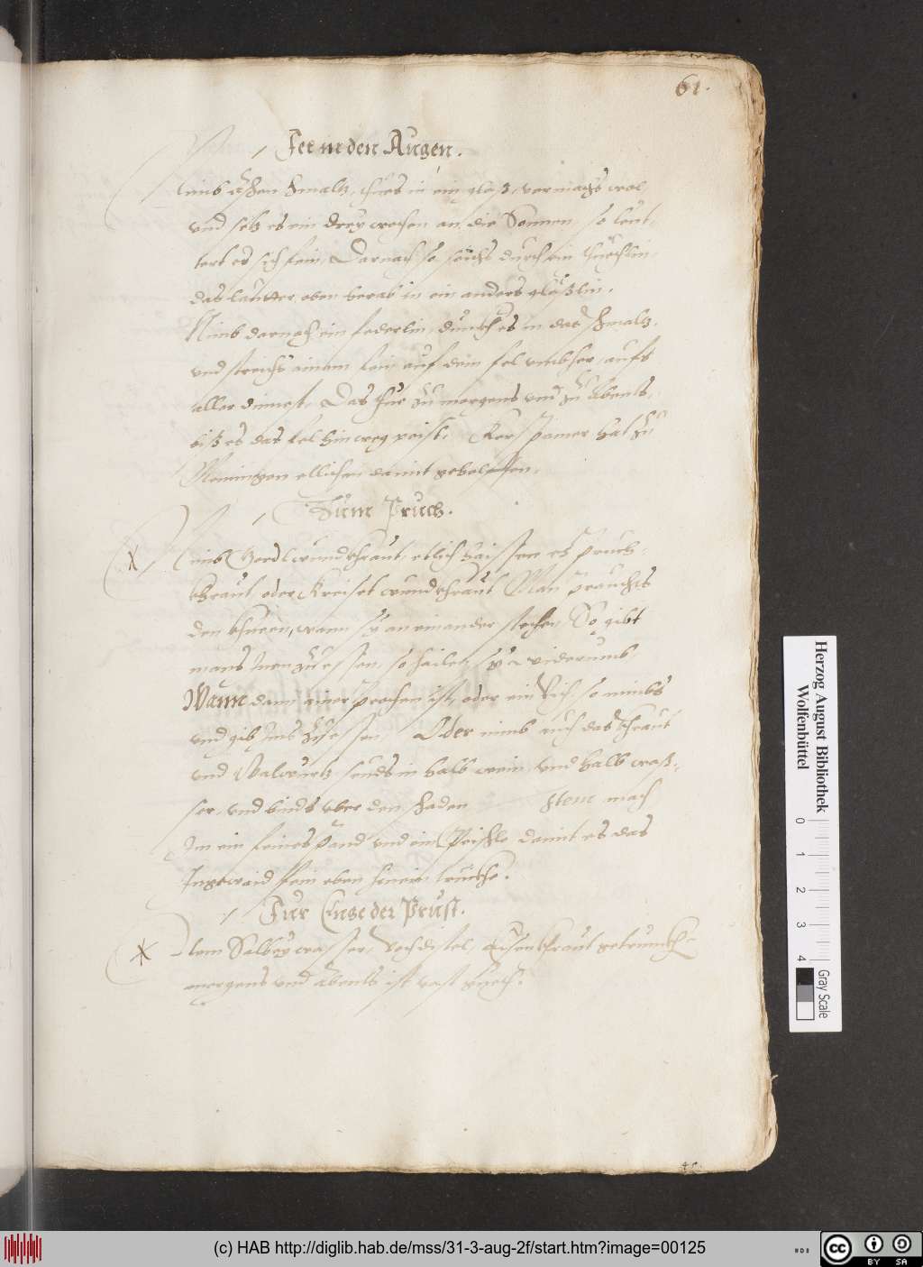 http://diglib.hab.de/mss/31-3-aug-2f/00125.jpg