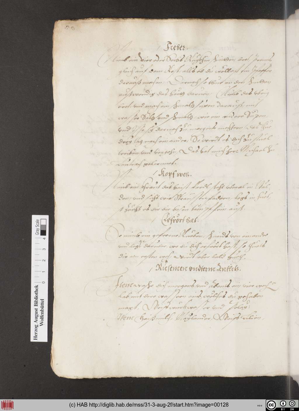 http://diglib.hab.de/mss/31-3-aug-2f/00128.jpg