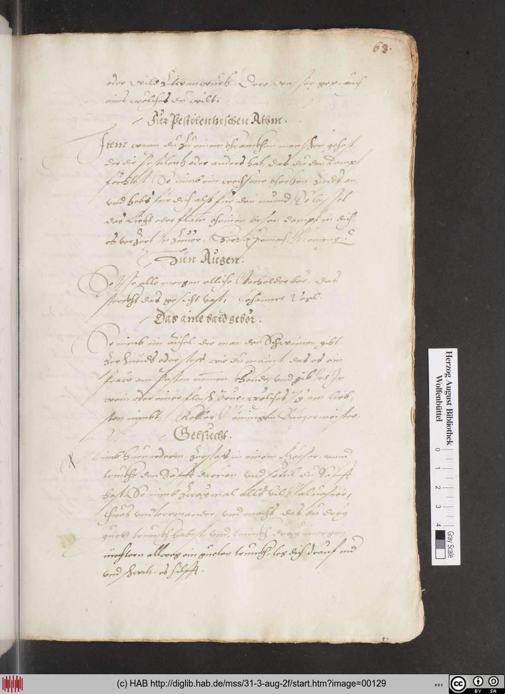 http://diglib.hab.de/mss/31-3-aug-2f/00129.jpg
