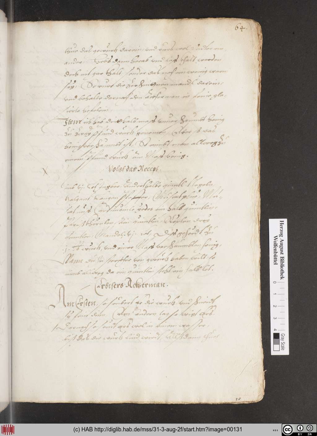 http://diglib.hab.de/mss/31-3-aug-2f/00131.jpg