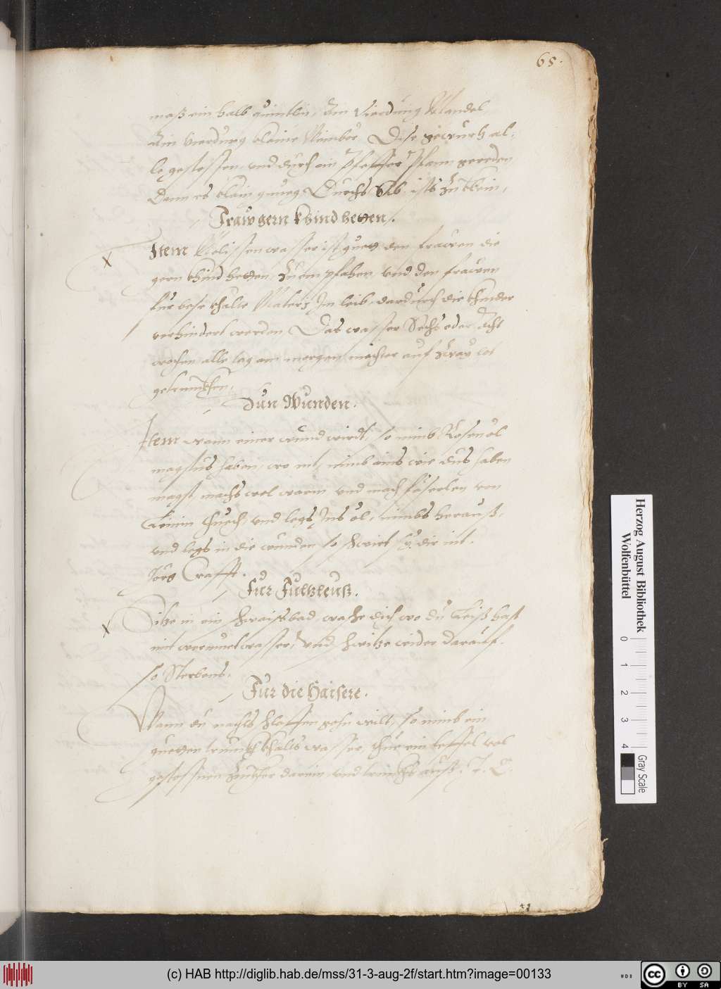 http://diglib.hab.de/mss/31-3-aug-2f/00133.jpg