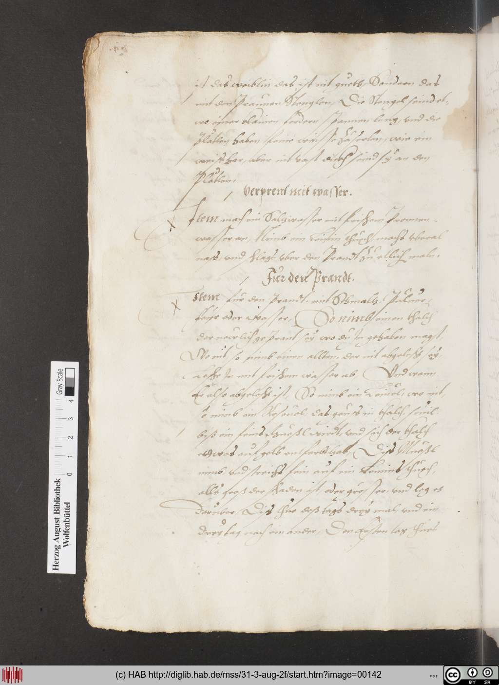 http://diglib.hab.de/mss/31-3-aug-2f/00142.jpg
