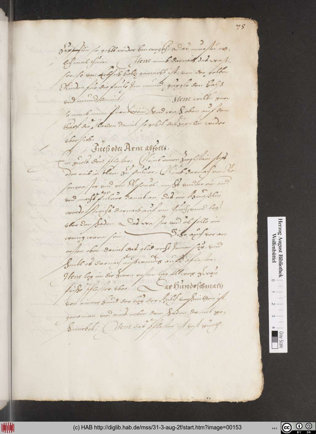 http://diglib.hab.de/mss/31-3-aug-2f/00153.jpg