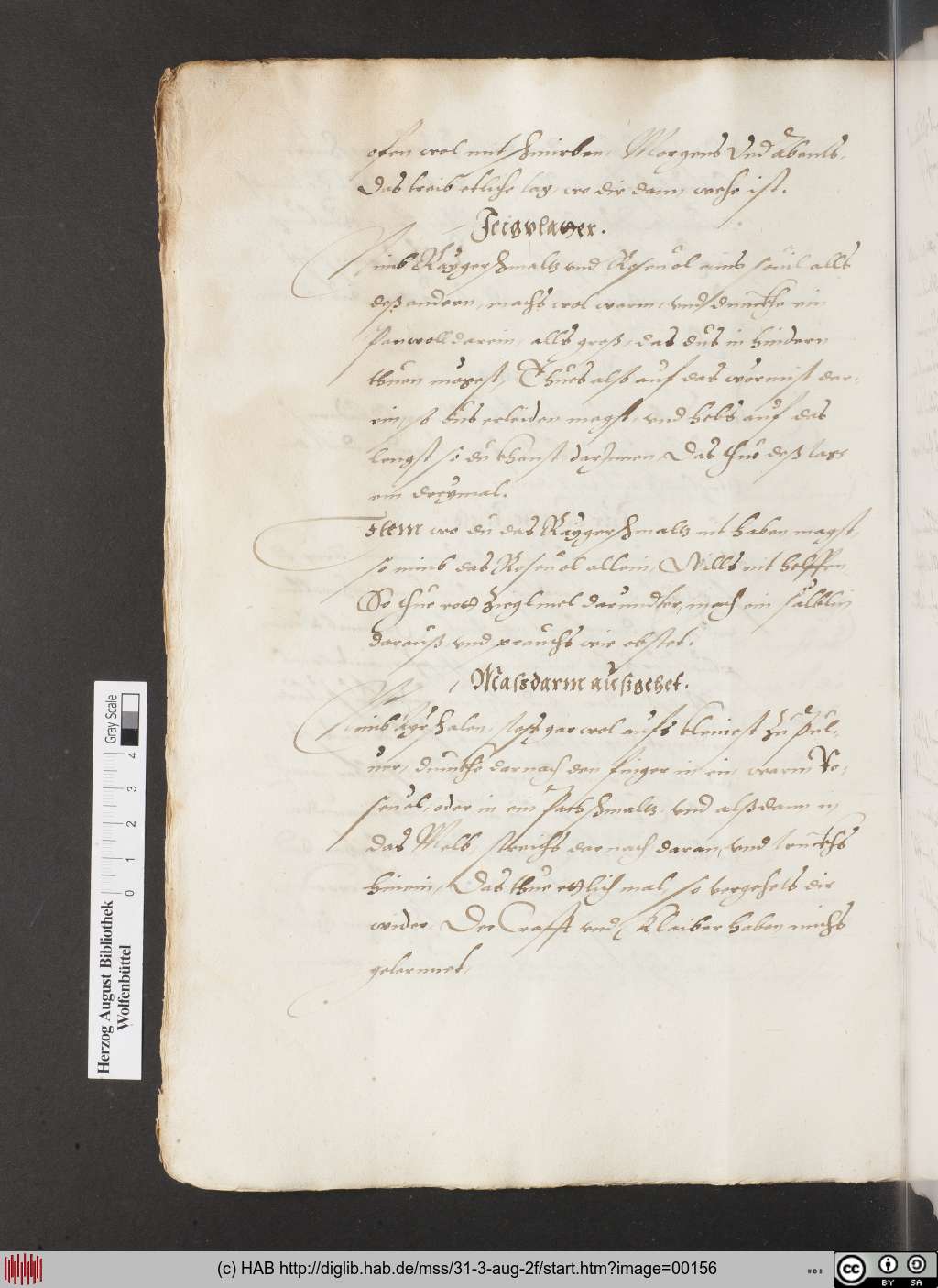 http://diglib.hab.de/mss/31-3-aug-2f/00156.jpg