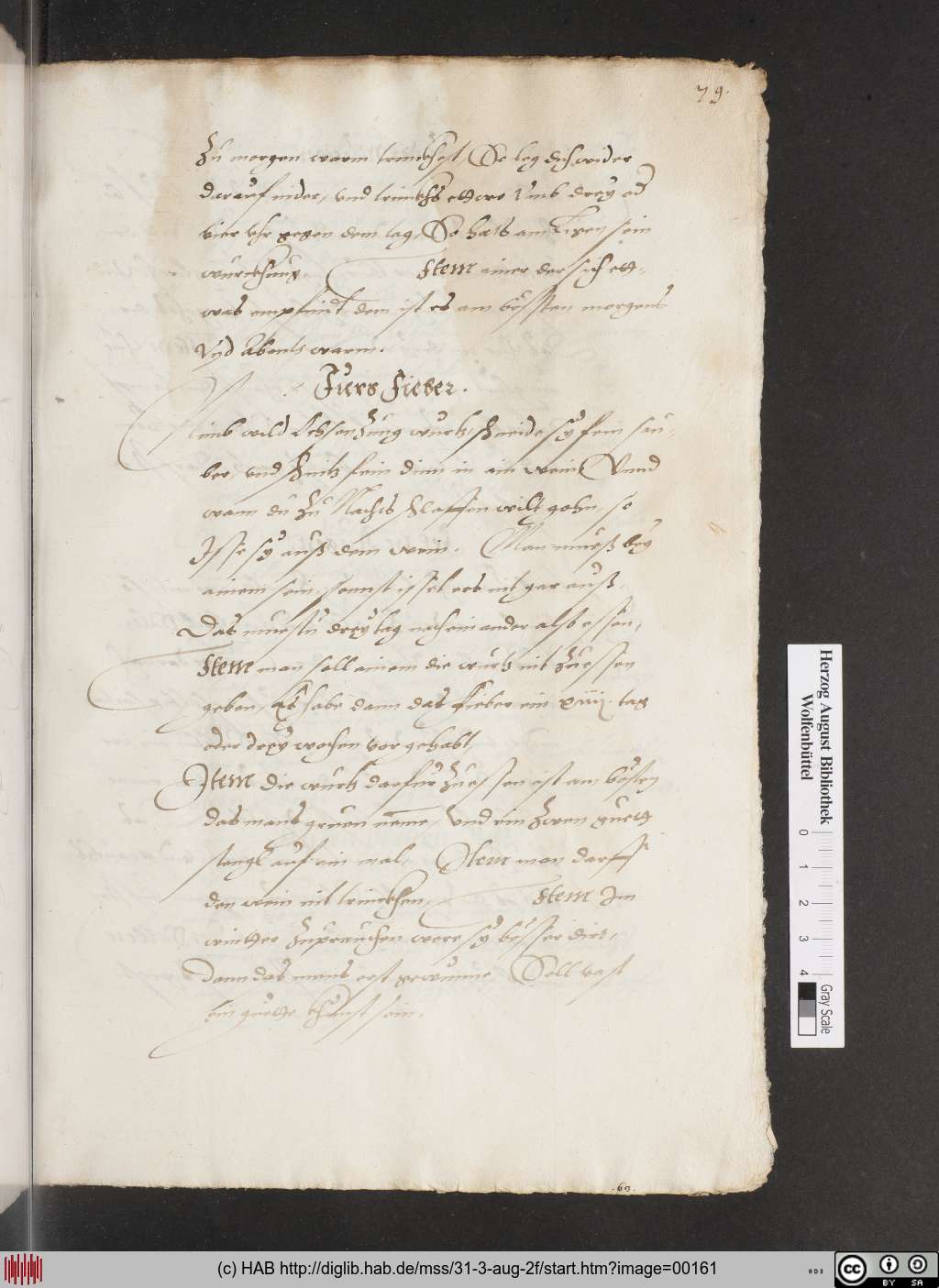 http://diglib.hab.de/mss/31-3-aug-2f/00161.jpg