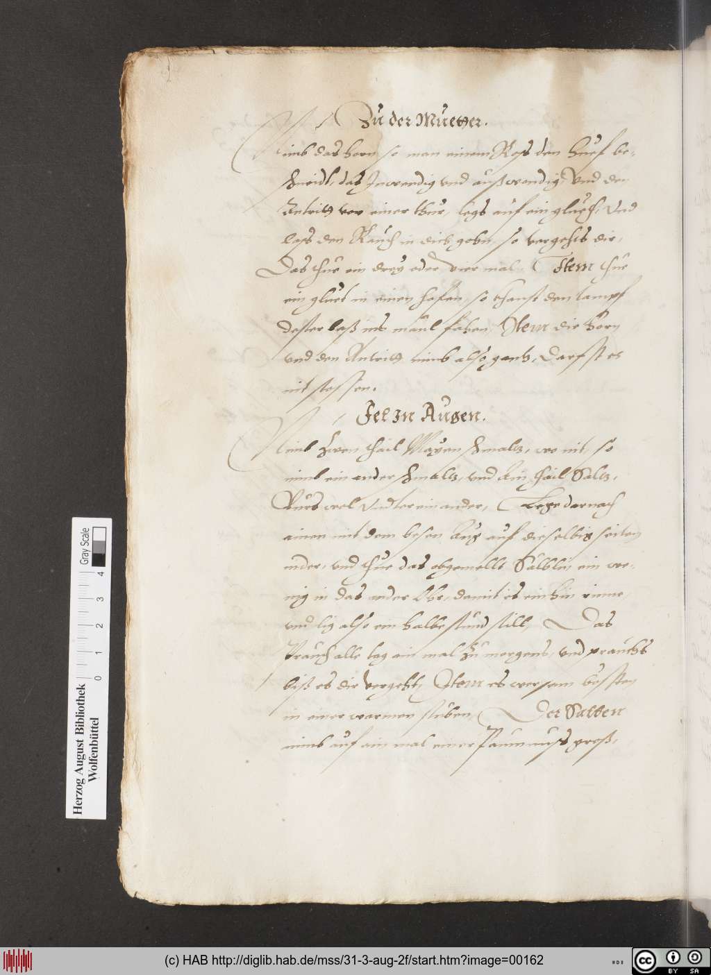 http://diglib.hab.de/mss/31-3-aug-2f/00162.jpg