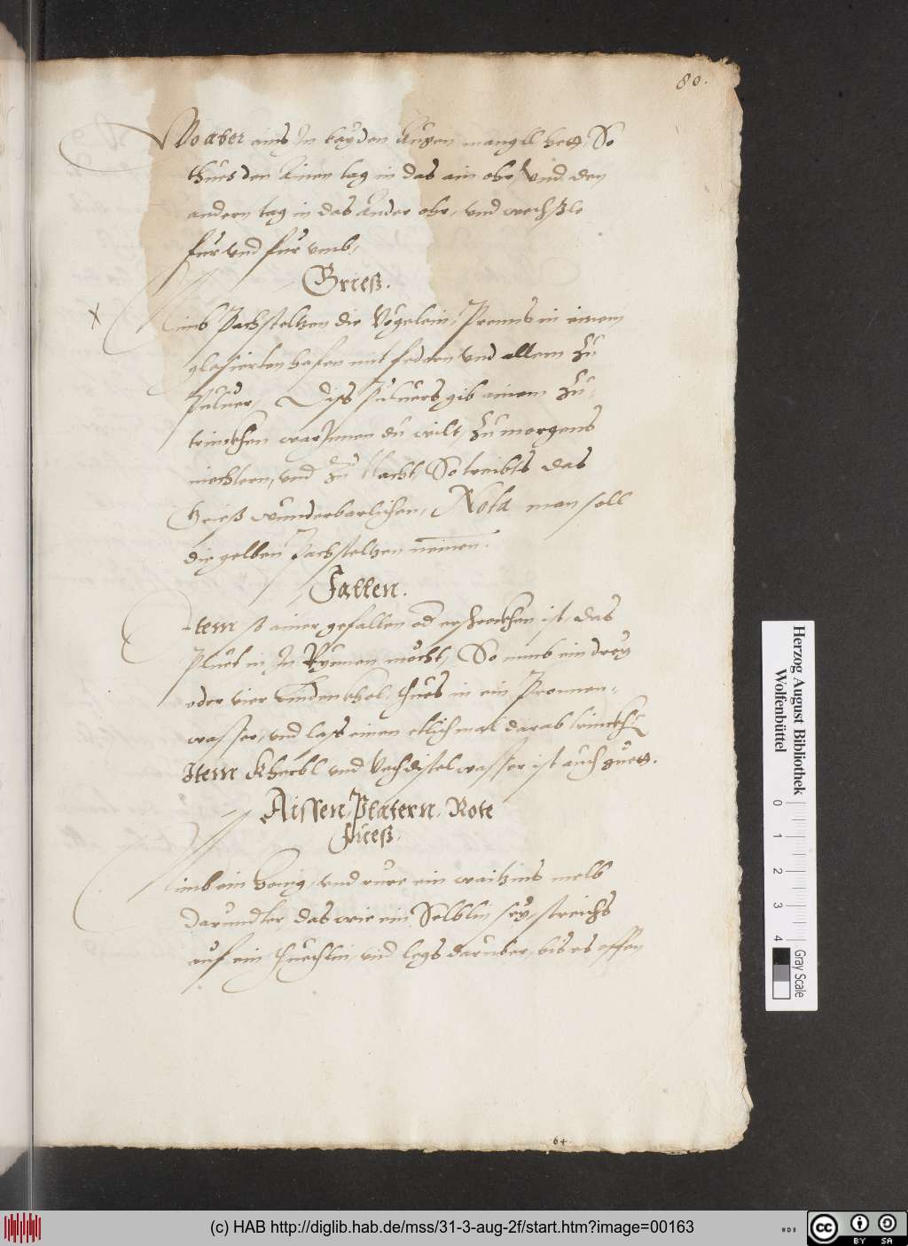 http://diglib.hab.de/mss/31-3-aug-2f/00163.jpg
