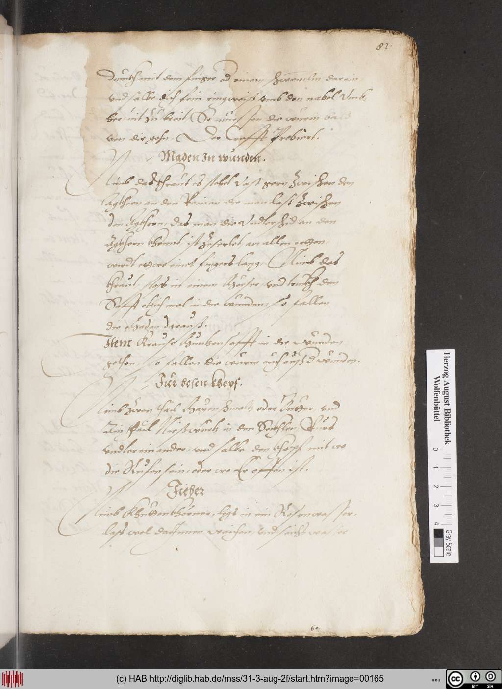 http://diglib.hab.de/mss/31-3-aug-2f/00165.jpg