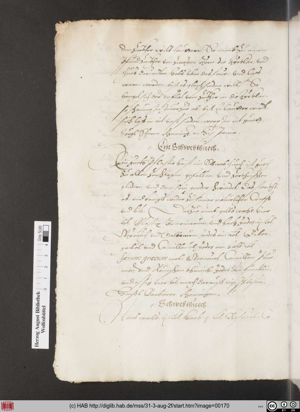 http://diglib.hab.de/mss/31-3-aug-2f/00170.jpg
