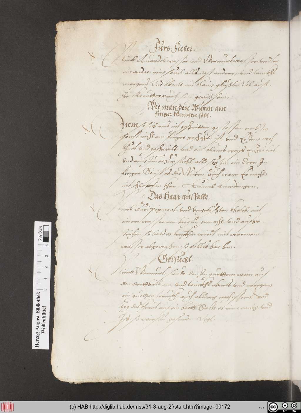 http://diglib.hab.de/mss/31-3-aug-2f/00172.jpg