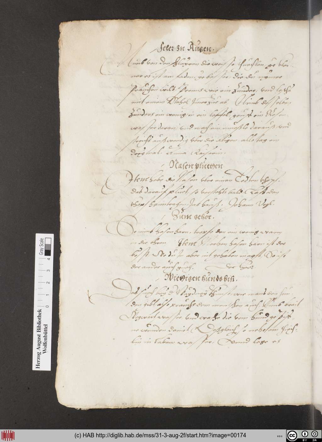 http://diglib.hab.de/mss/31-3-aug-2f/00174.jpg