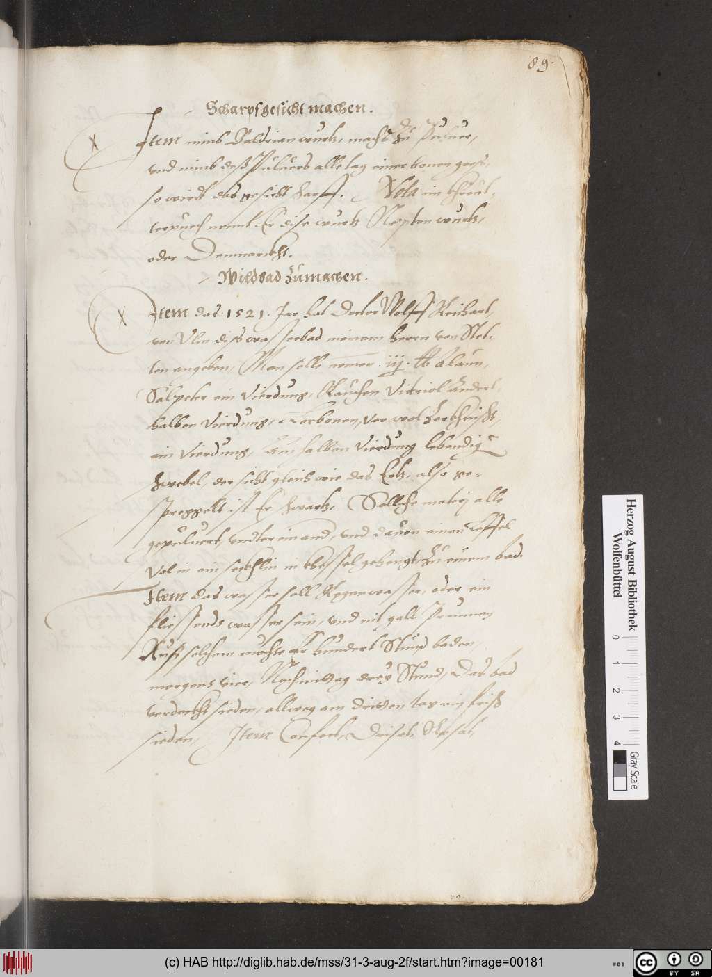 http://diglib.hab.de/mss/31-3-aug-2f/00181.jpg