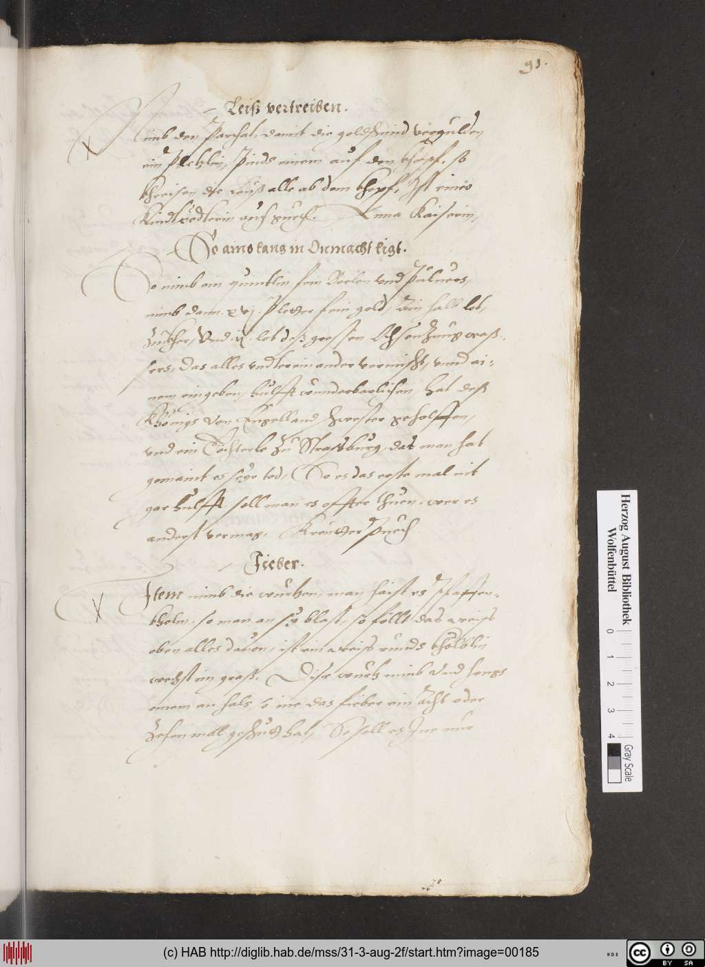 http://diglib.hab.de/mss/31-3-aug-2f/00185.jpg
