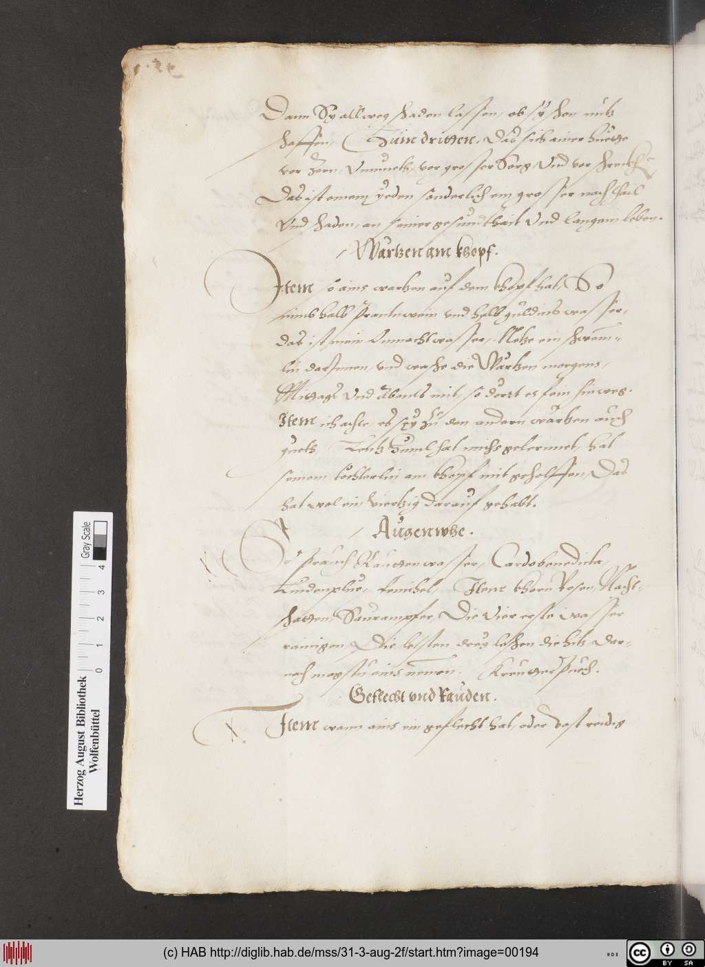 http://diglib.hab.de/mss/31-3-aug-2f/00194.jpg