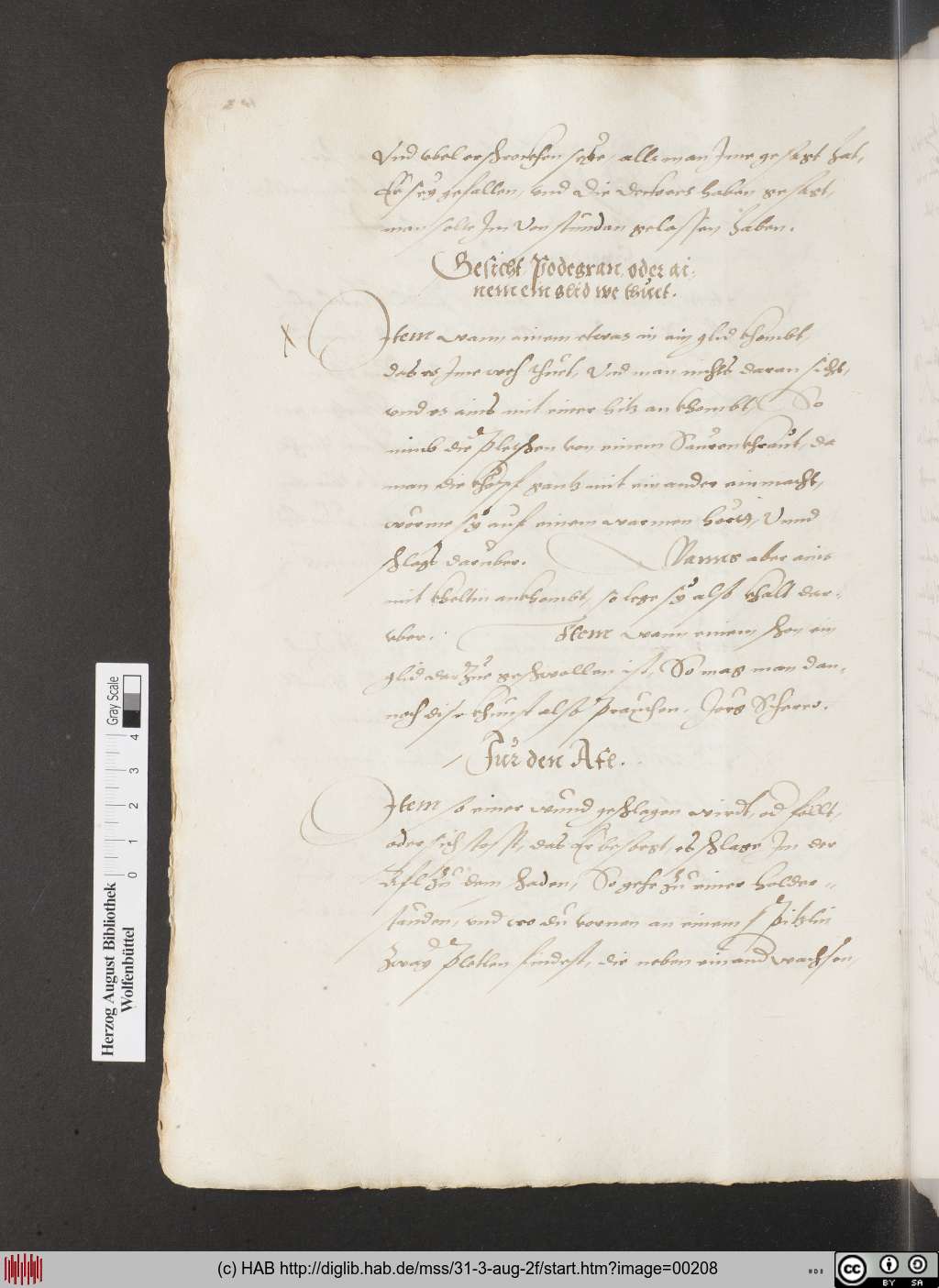 http://diglib.hab.de/mss/31-3-aug-2f/00208.jpg
