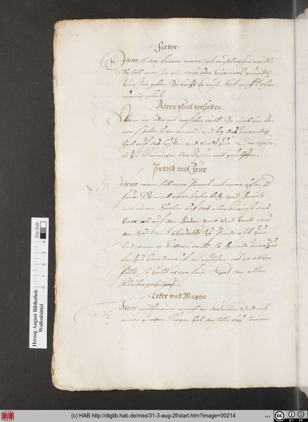 http://diglib.hab.de/mss/31-3-aug-2f/00214.jpg