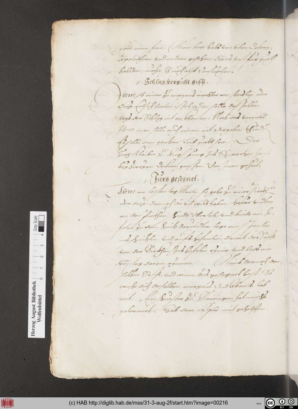 http://diglib.hab.de/mss/31-3-aug-2f/00216.jpg