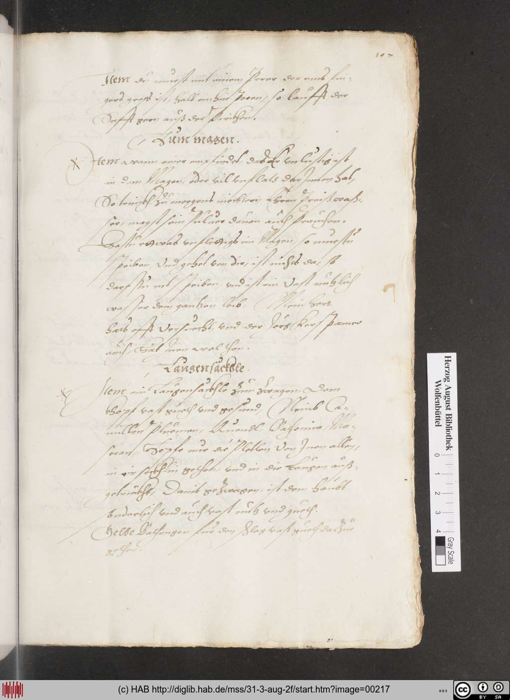 http://diglib.hab.de/mss/31-3-aug-2f/00217.jpg