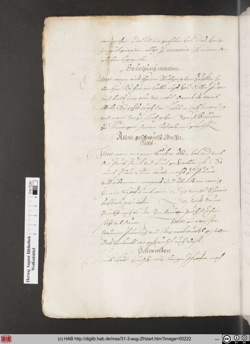 http://diglib.hab.de/mss/31-3-aug-2f/00222.jpg