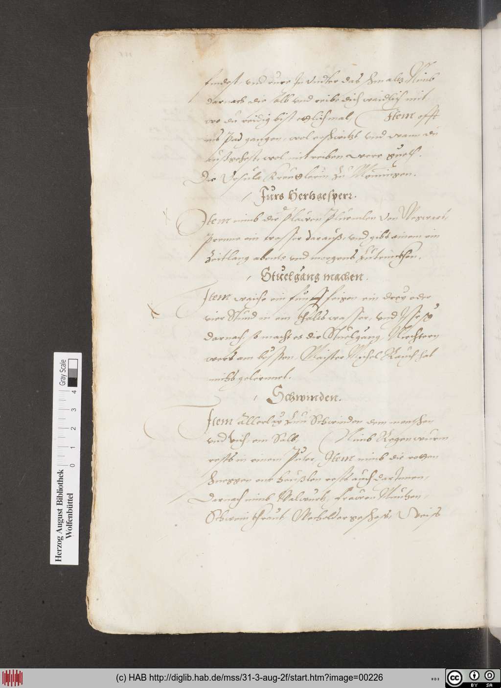 http://diglib.hab.de/mss/31-3-aug-2f/00226.jpg