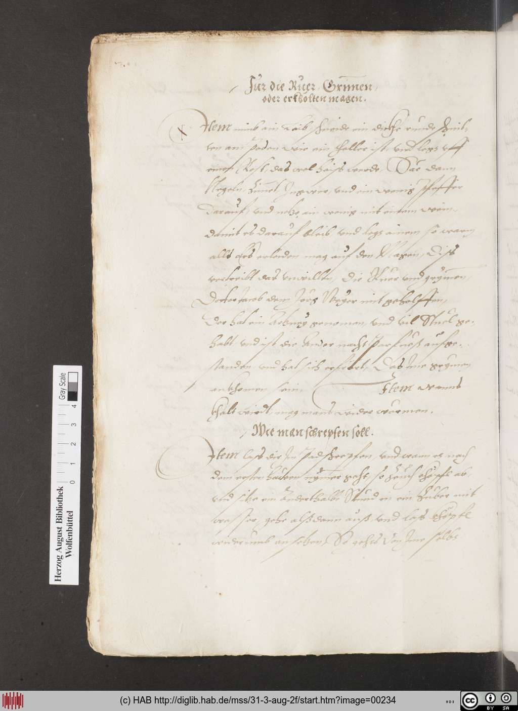 http://diglib.hab.de/mss/31-3-aug-2f/00234.jpg