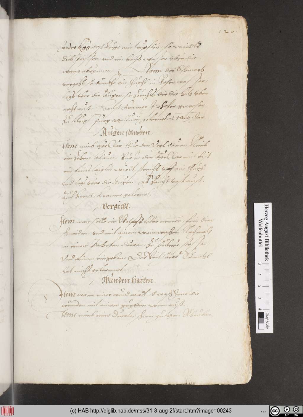 http://diglib.hab.de/mss/31-3-aug-2f/00243.jpg