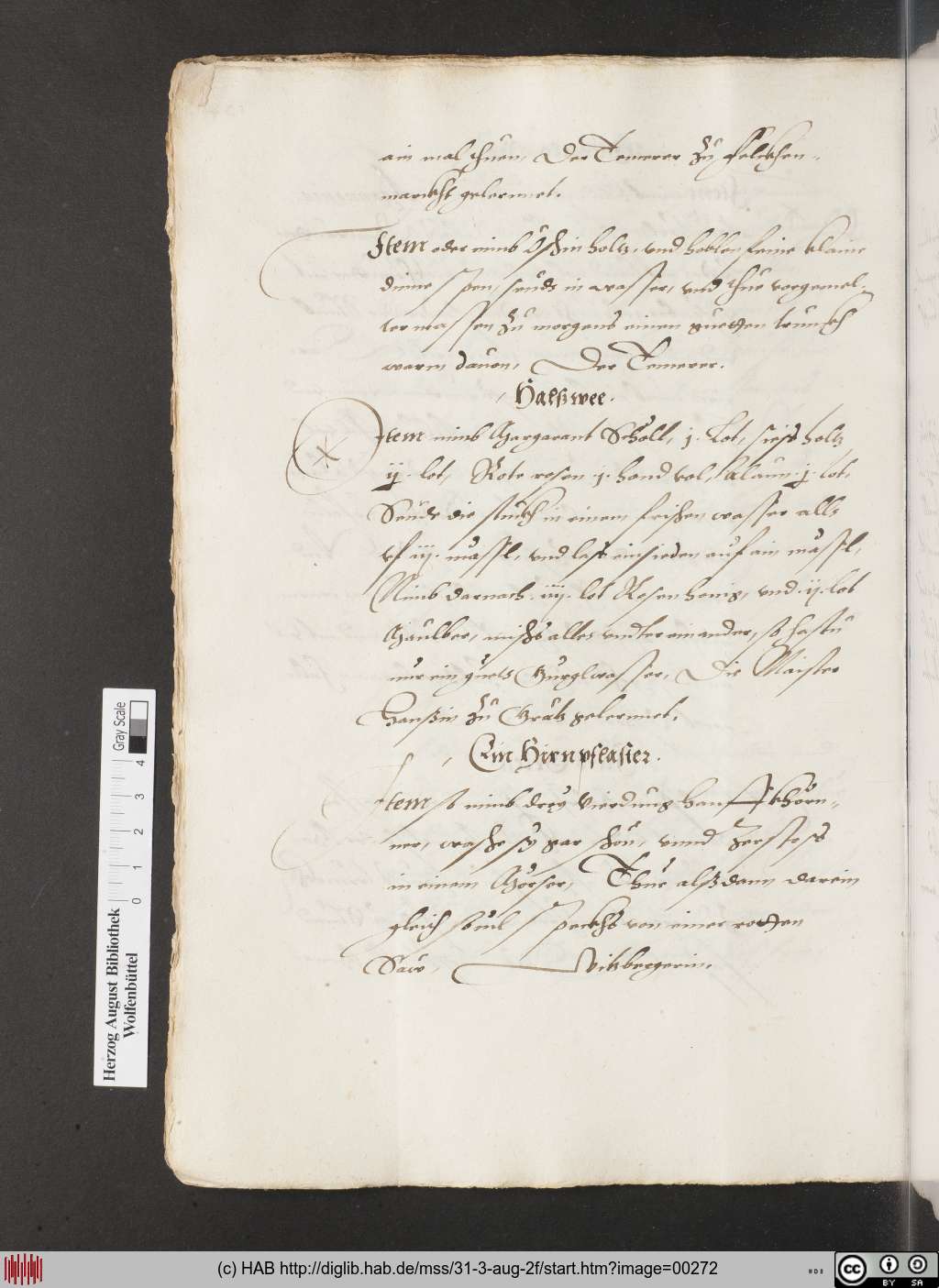 http://diglib.hab.de/mss/31-3-aug-2f/00272.jpg