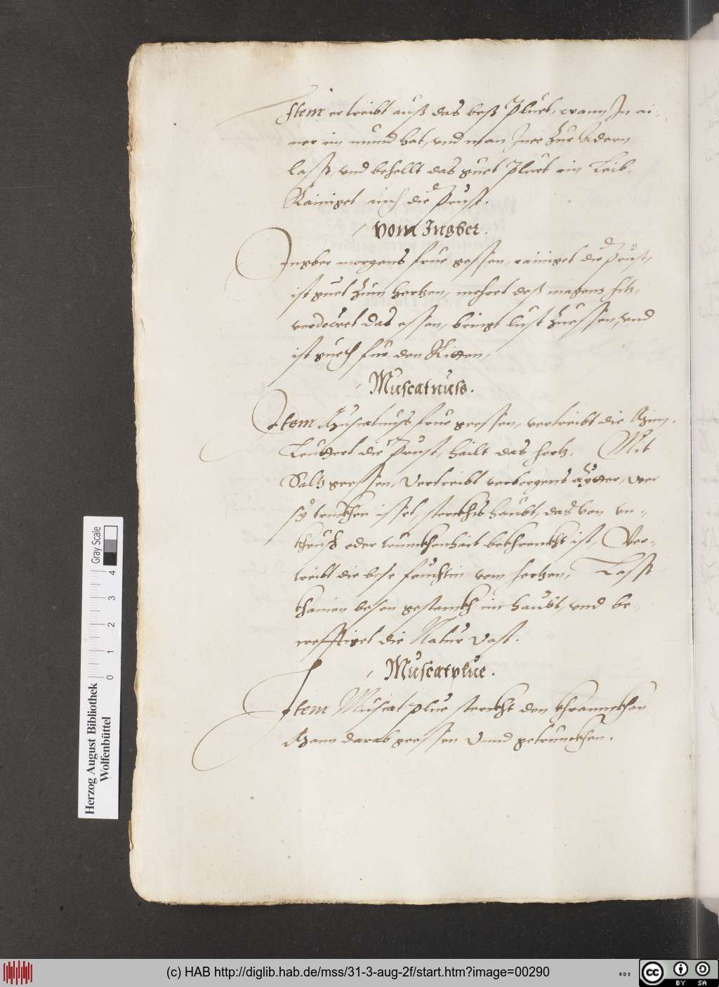 http://diglib.hab.de/mss/31-3-aug-2f/00290.jpg
