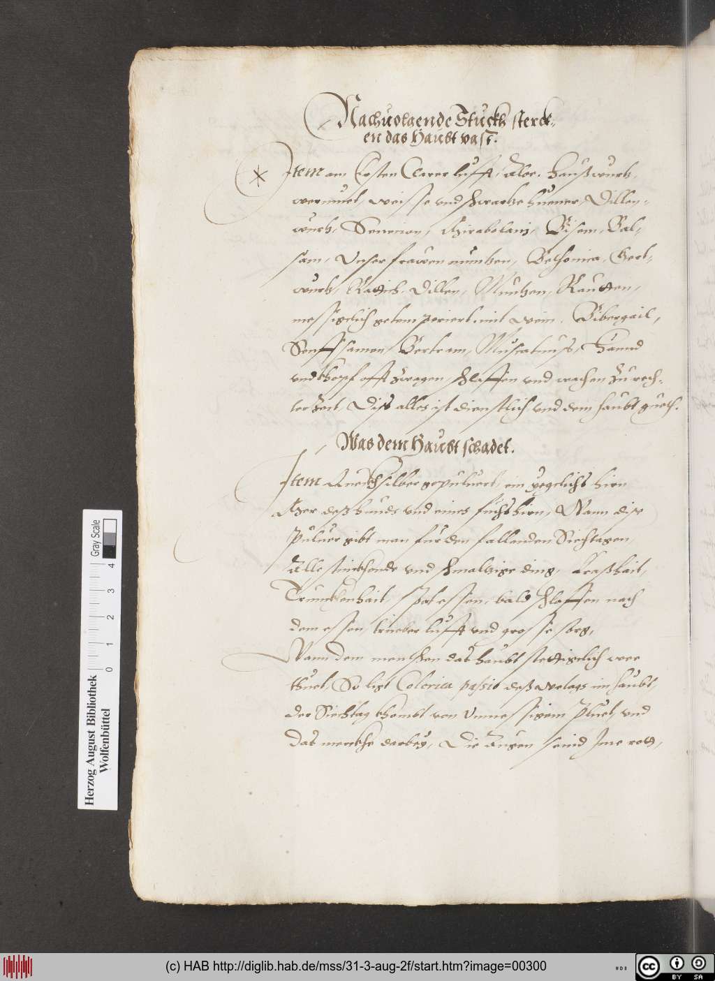 http://diglib.hab.de/mss/31-3-aug-2f/00300.jpg