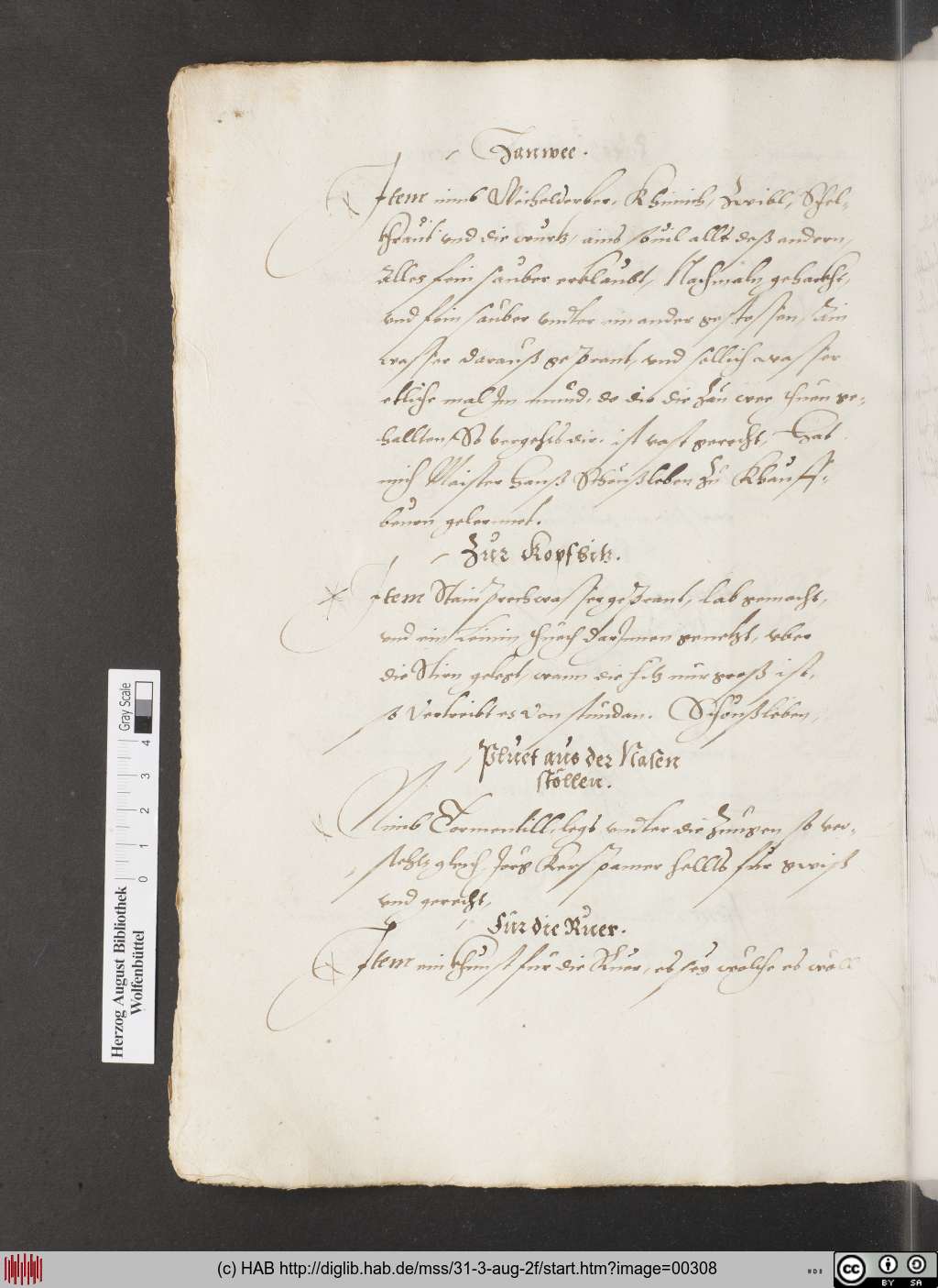http://diglib.hab.de/mss/31-3-aug-2f/00308.jpg