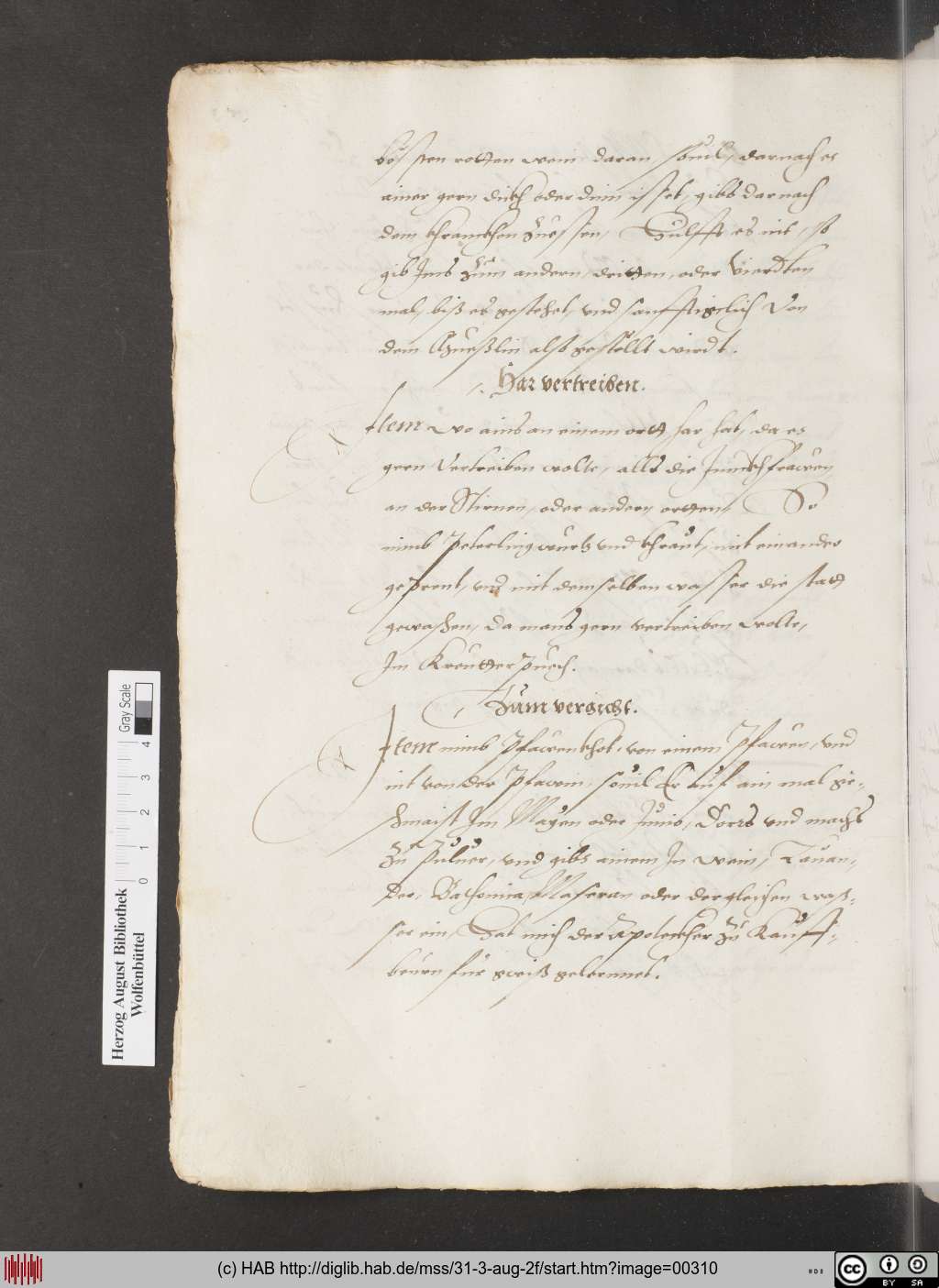 http://diglib.hab.de/mss/31-3-aug-2f/00310.jpg