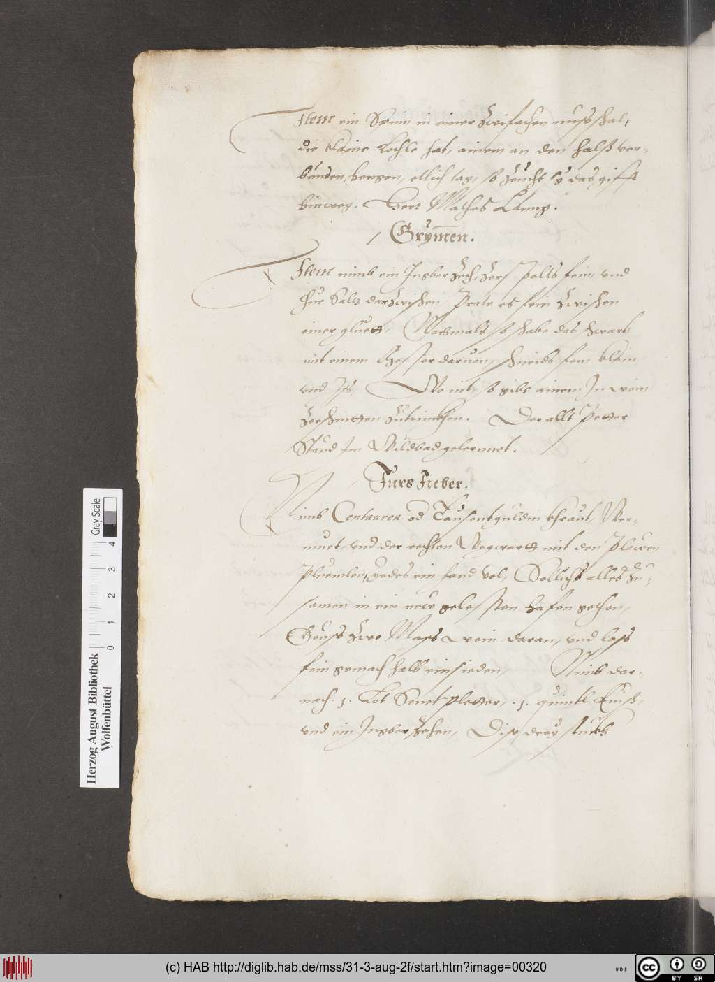 http://diglib.hab.de/mss/31-3-aug-2f/00320.jpg