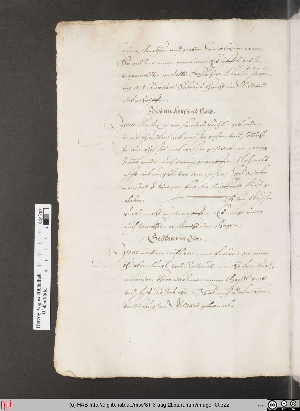 http://diglib.hab.de/mss/31-3-aug-2f/00322.jpg