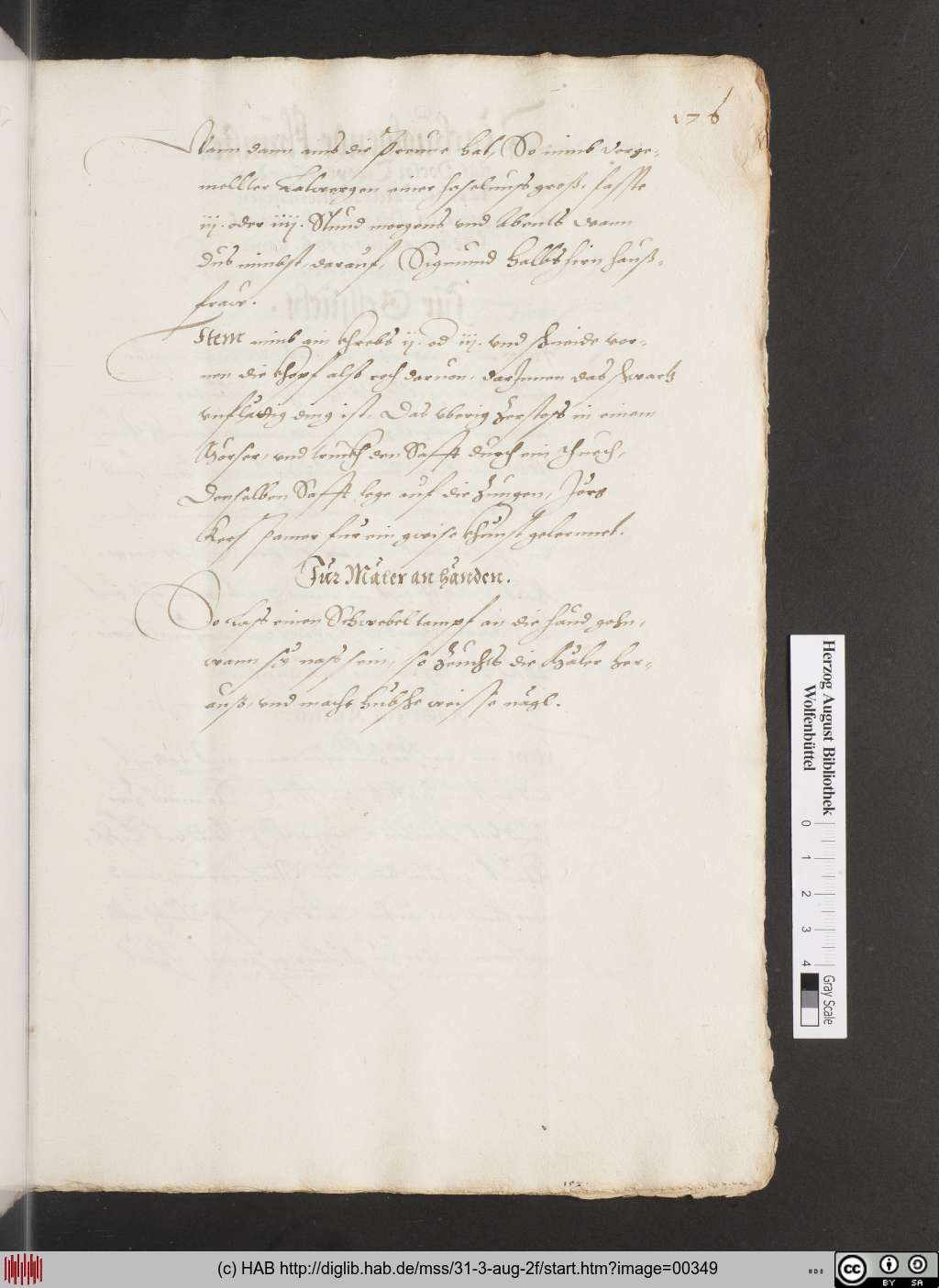 http://diglib.hab.de/mss/31-3-aug-2f/00349.jpg