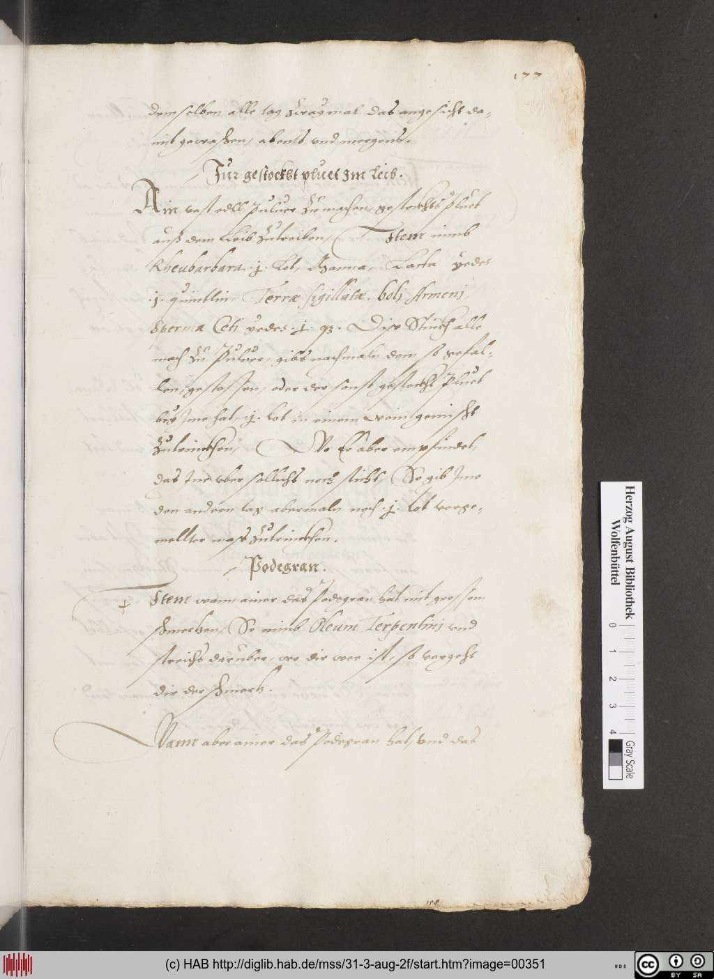 http://diglib.hab.de/mss/31-3-aug-2f/00351.jpg