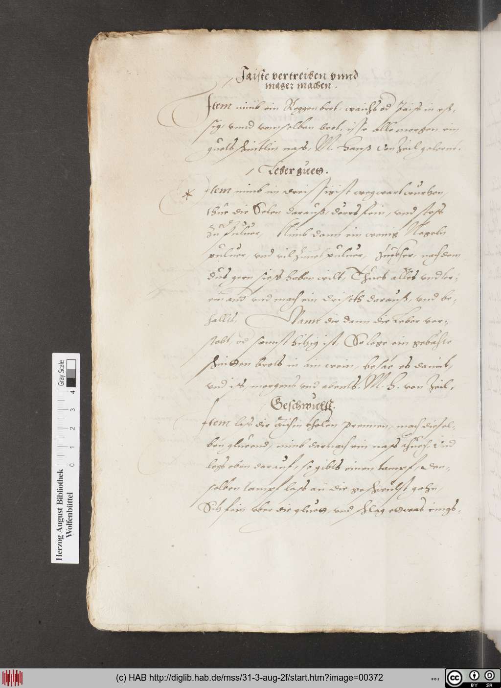 http://diglib.hab.de/mss/31-3-aug-2f/00372.jpg