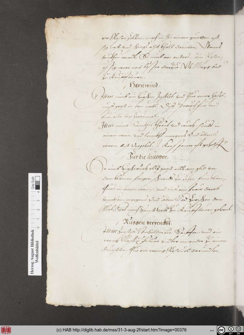 http://diglib.hab.de/mss/31-3-aug-2f/00376.jpg
