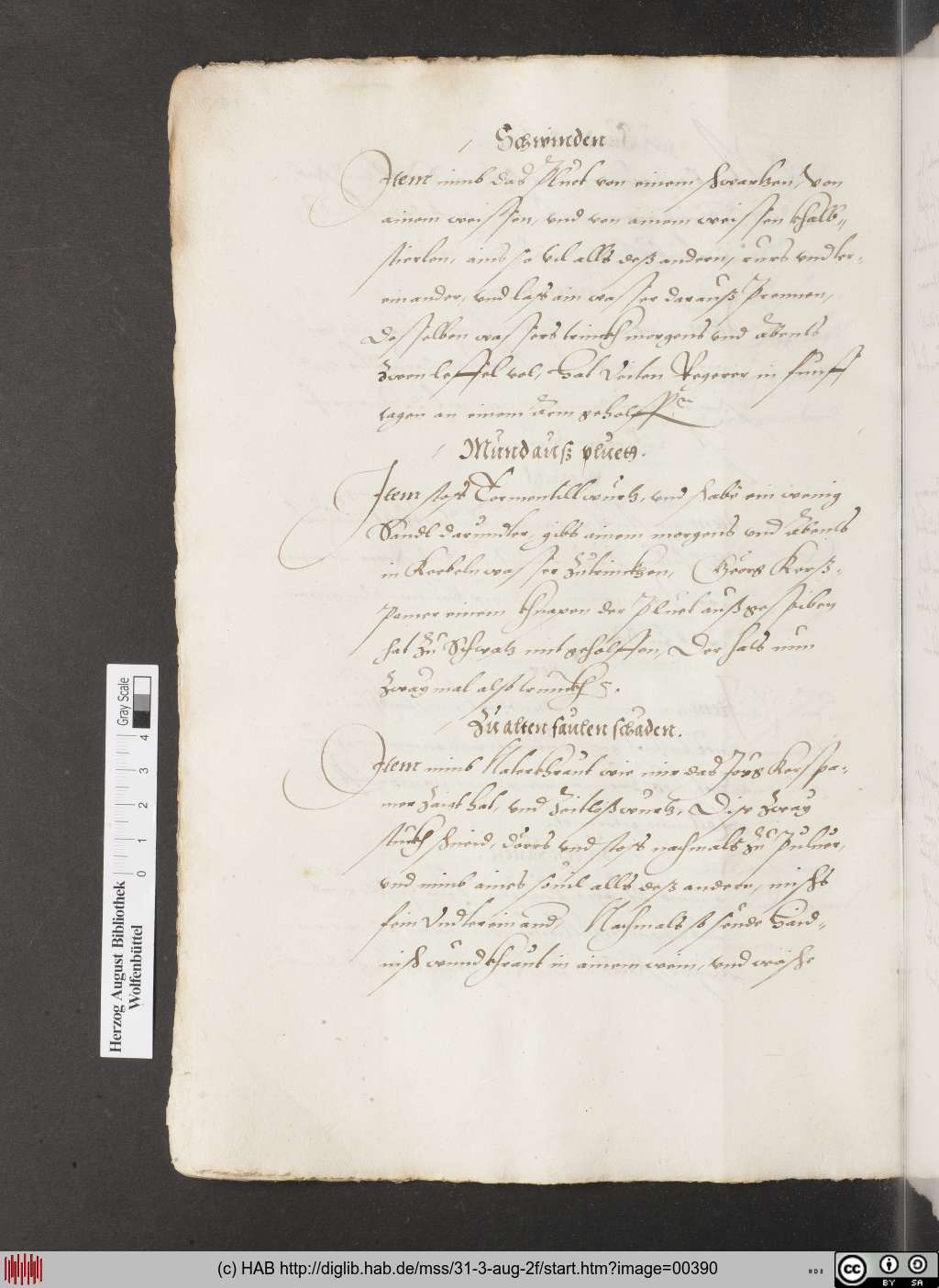 http://diglib.hab.de/mss/31-3-aug-2f/00390.jpg