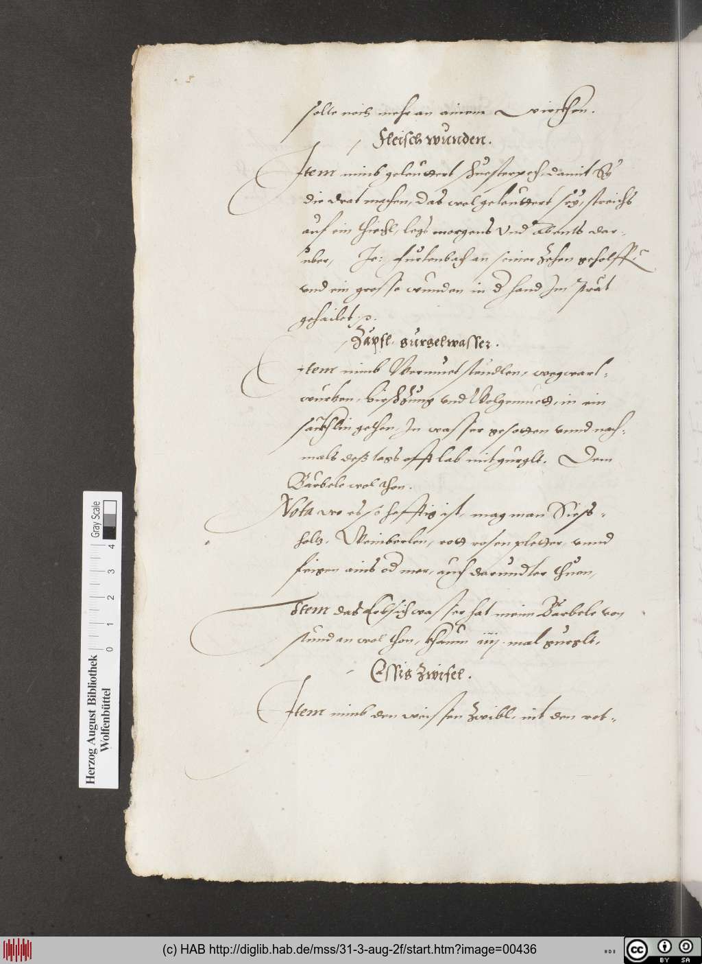 http://diglib.hab.de/mss/31-3-aug-2f/00436.jpg